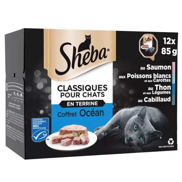 Pâtée pour chat terrines Océan 12 x 85 g