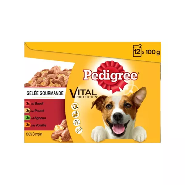 Sachets gelée gourmande pour chien 12 x 100 g Pedigree