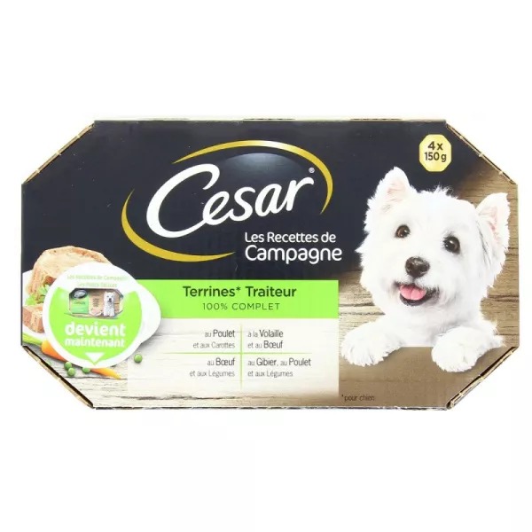 Pâtée pour chien terrine traiteur 4 x 150 g Cesar