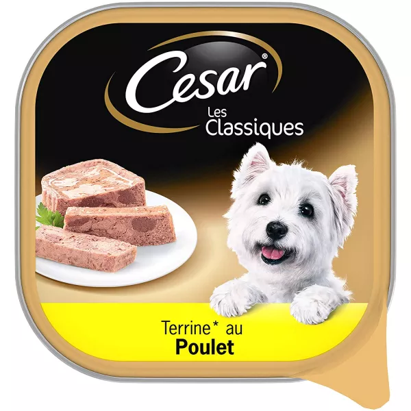 Pâtée pour chien terrine au poulet 300 g Cesar