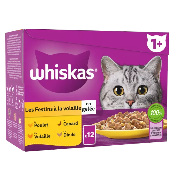 Sachets pour chat adulte Les Festins à la volaille en gelée 12 x 85 g