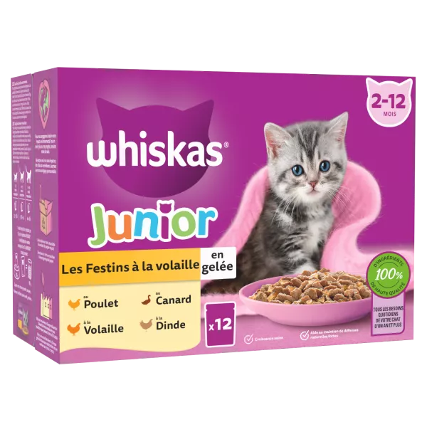 Sachets pour chaton Junior Les Festins à la volaille en gelée 12 x 85 g