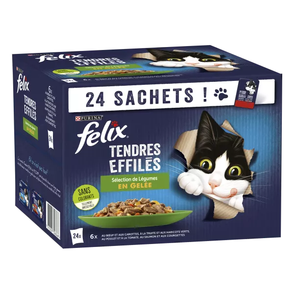 Pâtée pour chat adulte Tendres Effilés en gelée bœuf, truite, poulet, saumon et légumes 24 x 85 g
