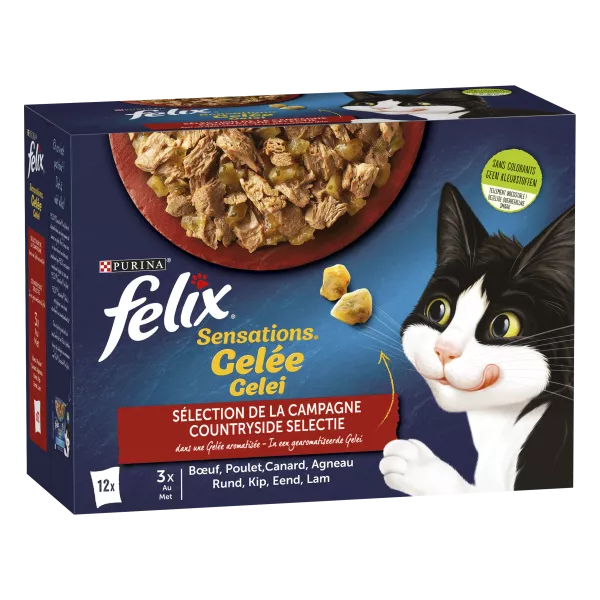 Pâtée pour chat adulte en gelée bœuf, poulet, canard et agneau 12 x 85 g