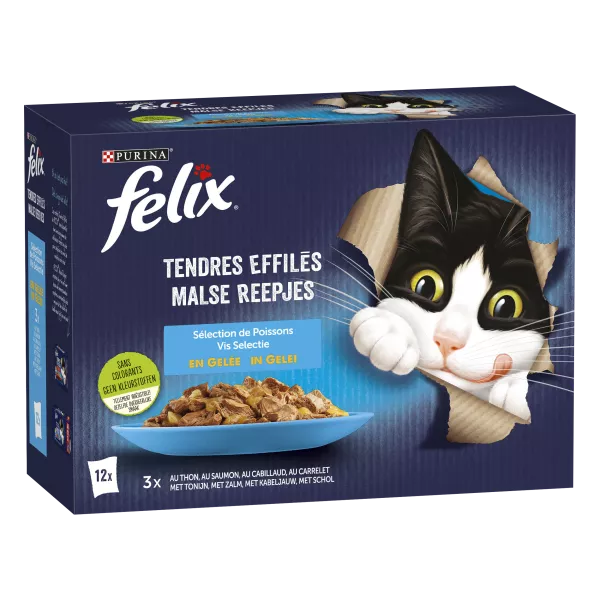Pâtée pour chat adulte en gelée effilés de saumon, thon, cabillaud et carrelet 12 x 85 g
